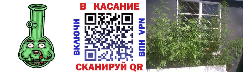 Продажа наркотиков Пущино Галлюциногенные грибы Меф A-PVP АМФЕТАМИН omg онион Канабис ГАШИШ