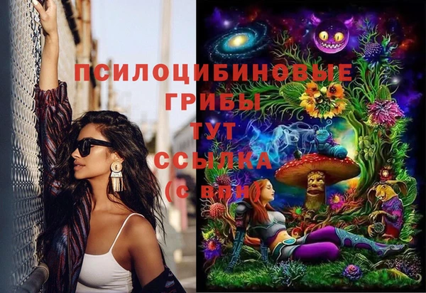 метадон Алексеевка