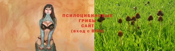 соль курить ск Сафоново